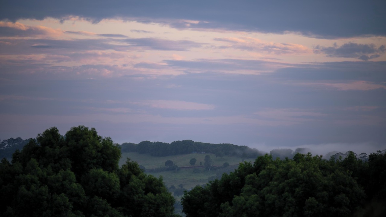 Photo of Others in Federal