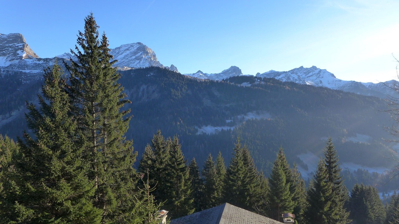 Photo of Others in Alpe des Chaux