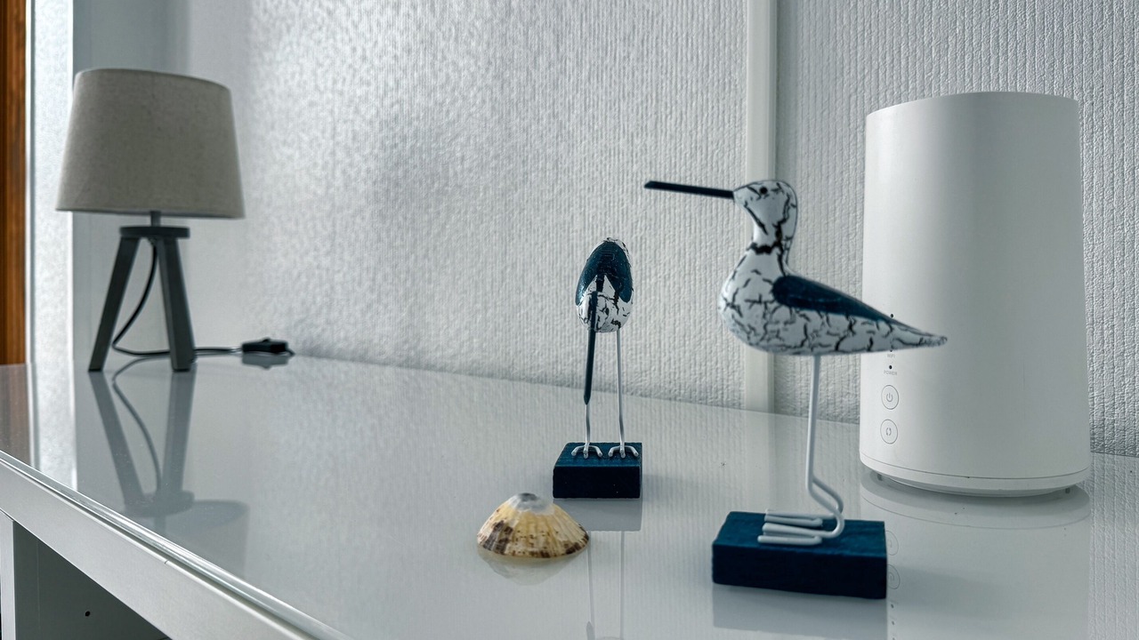 Photo of Others in Trevou-Treguignec