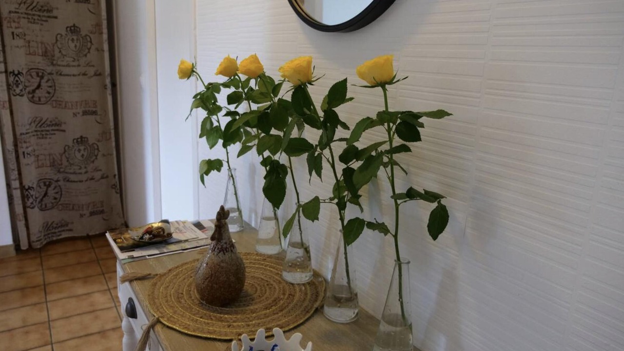 Photo of Others in Pau Nord