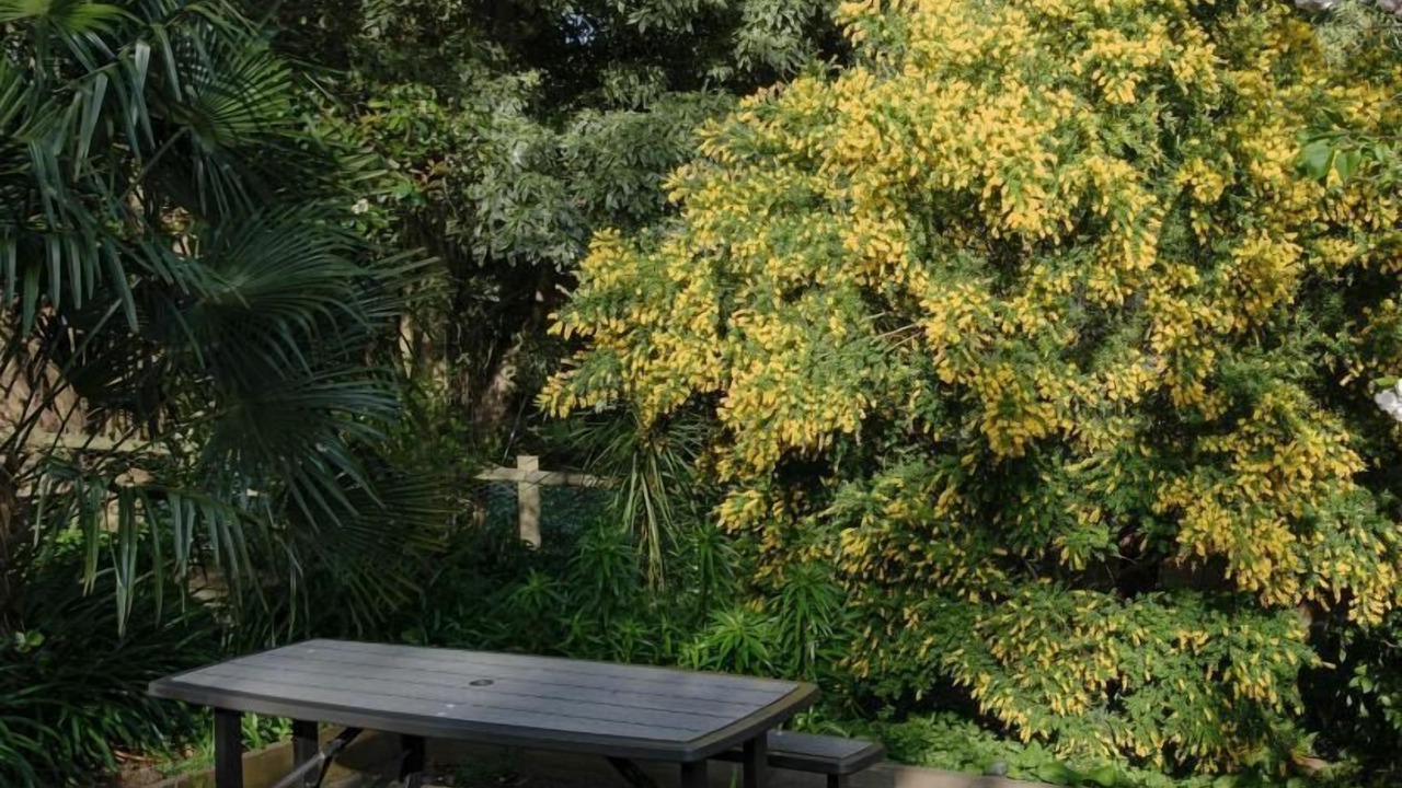 Photo of Others in Warburton