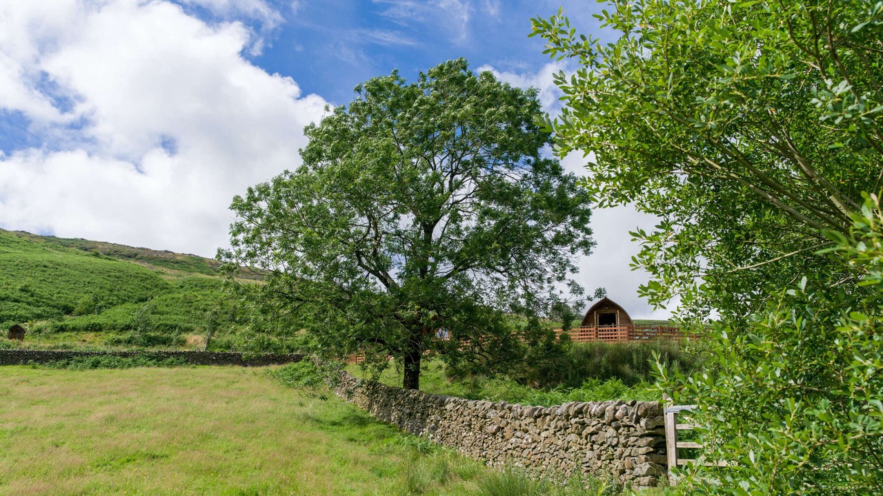 Photo of Outdoor in Moffat