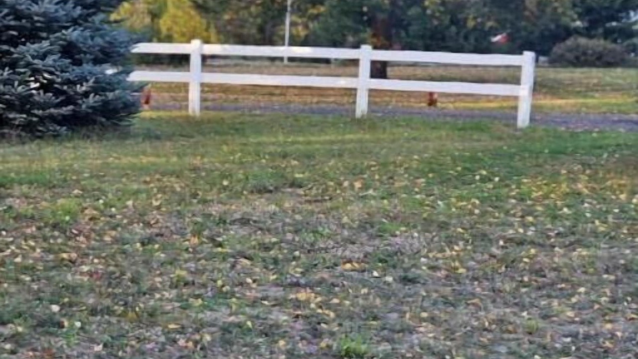 Photo of Others in Colbert