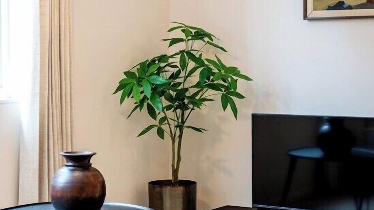 Photo of Livingroom in Covent Garden