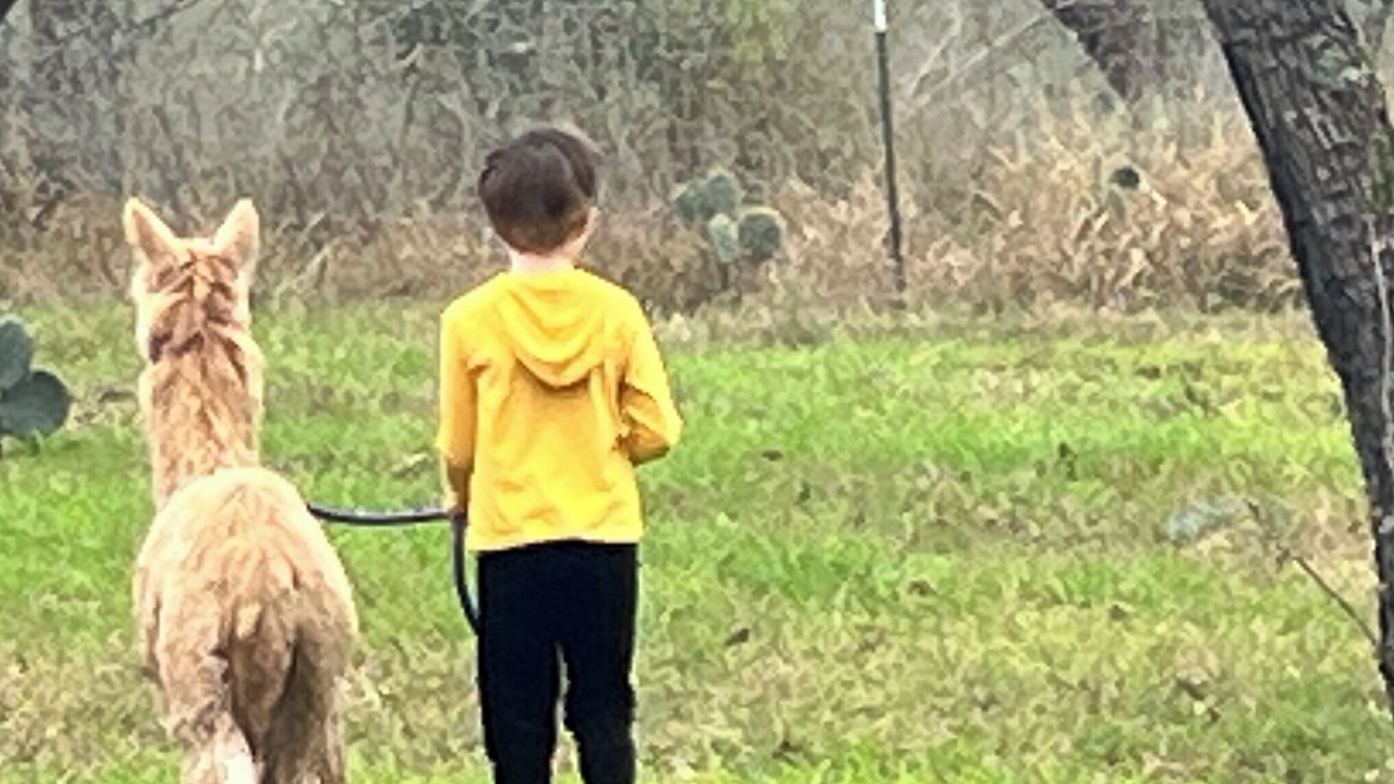 Photo of Others in Seguin
