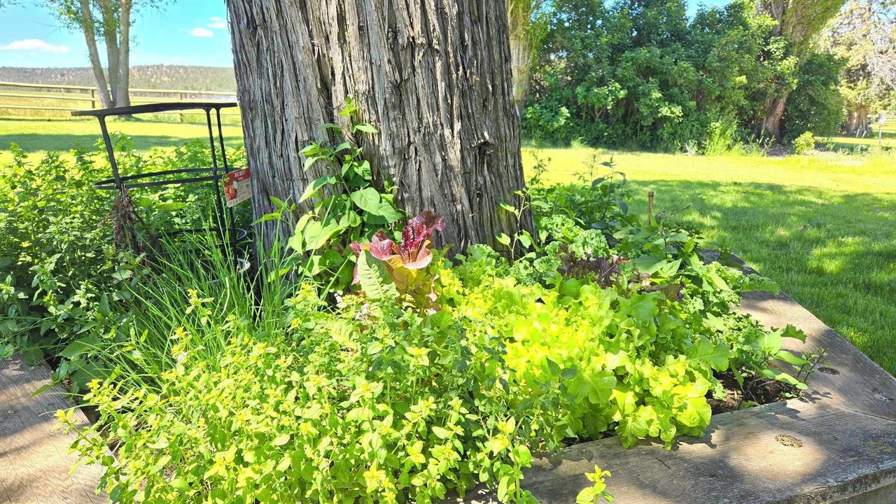 Photo of Outdoor in Crooked River Ranch