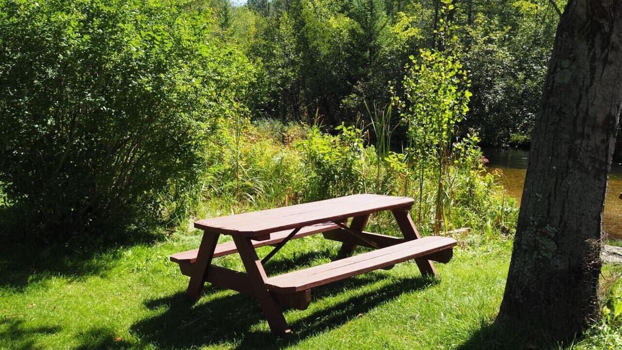 Photo of Outdoor in Honor