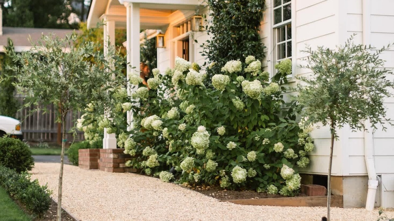 Photo of Others in Vancouver