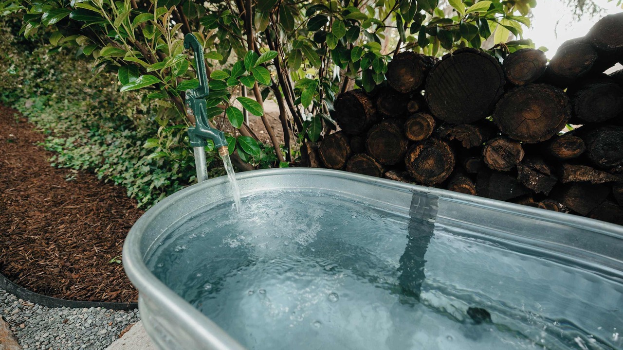 Photo of Others in Vancouver