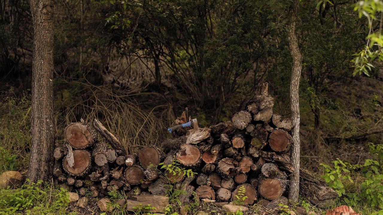 Photo of Others in San Saba