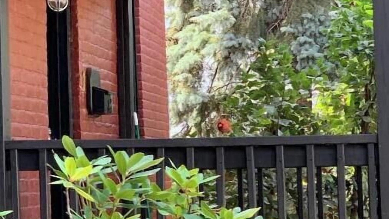 Photo of Outdoor in Old North End