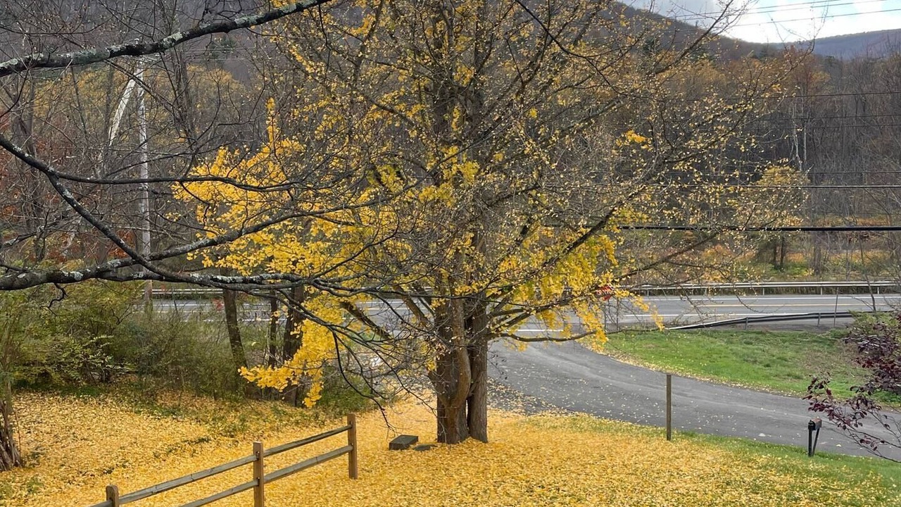 Photo of Others in Allaben