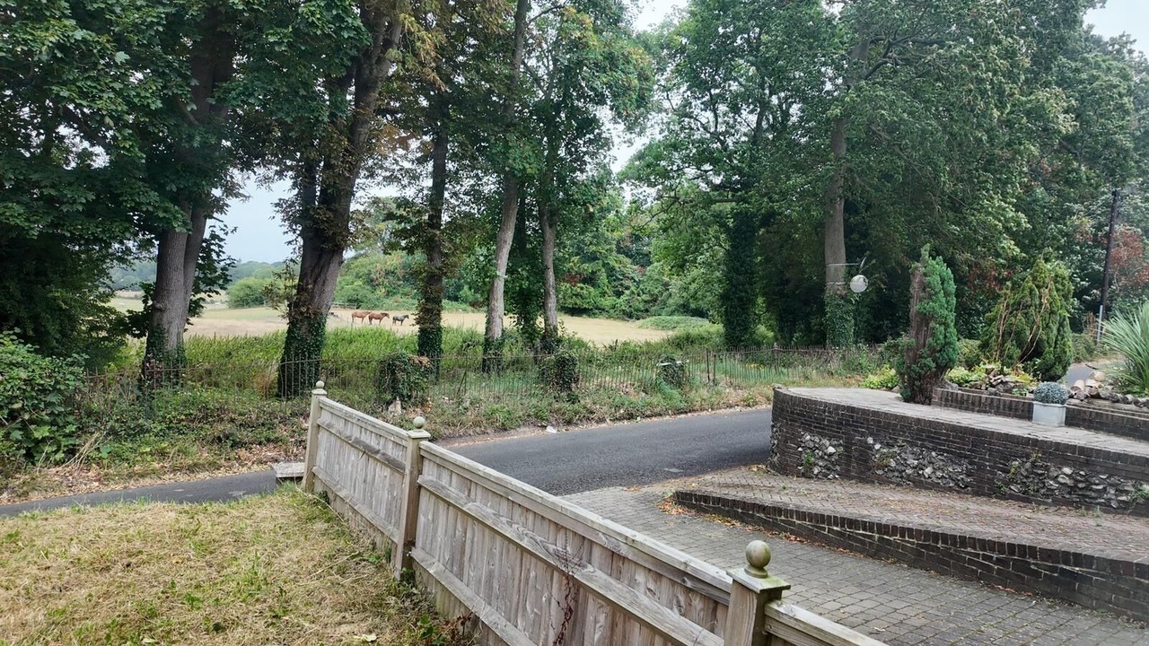 Photo of Outdoor in Hayes and Coney Hall