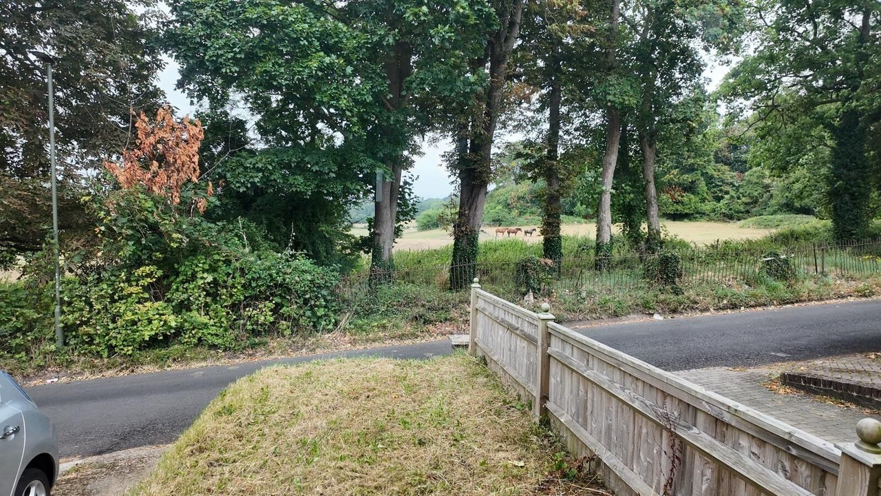 Photo of Outdoor in Hayes and Coney Hall