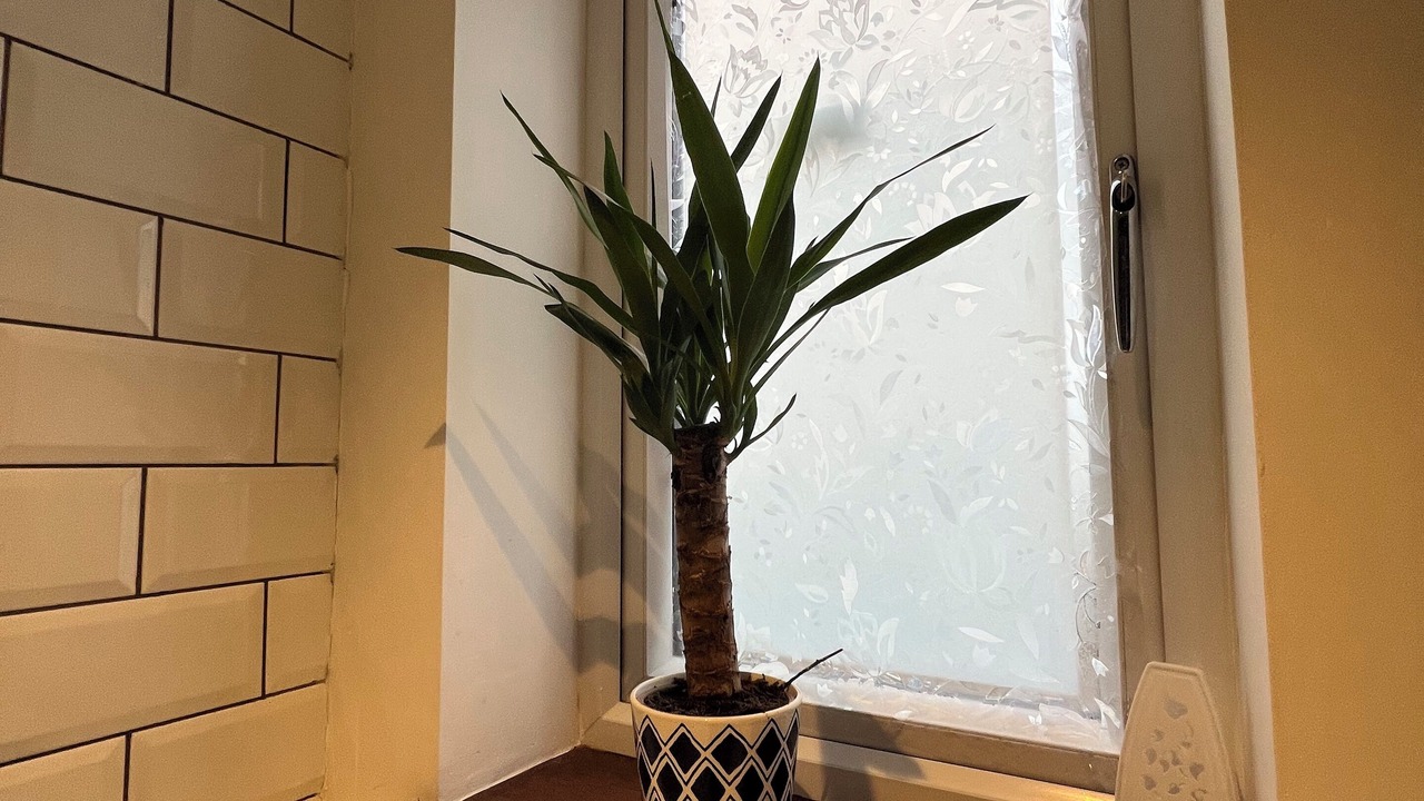 Photo of Others in Hayes and Coney Hall