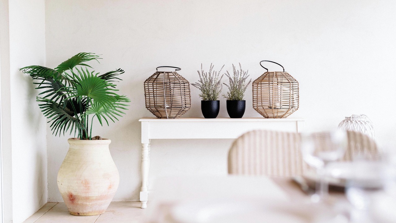 Photo of Others in Escales