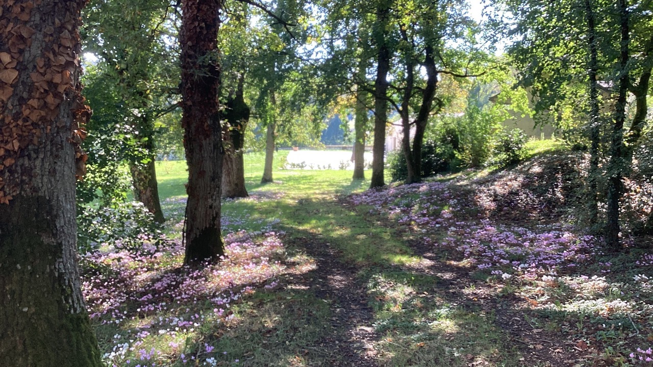 Photo of Outdoor in Chenu