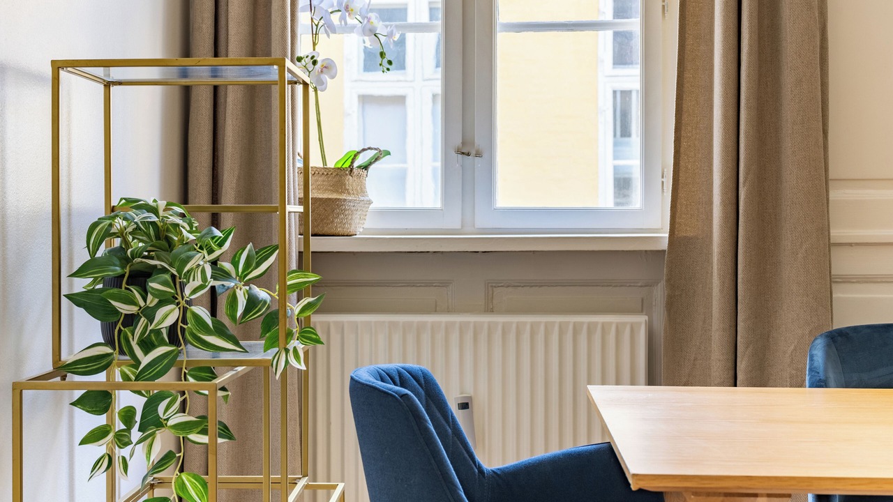 Photo of Others in Copenhagen City Centre