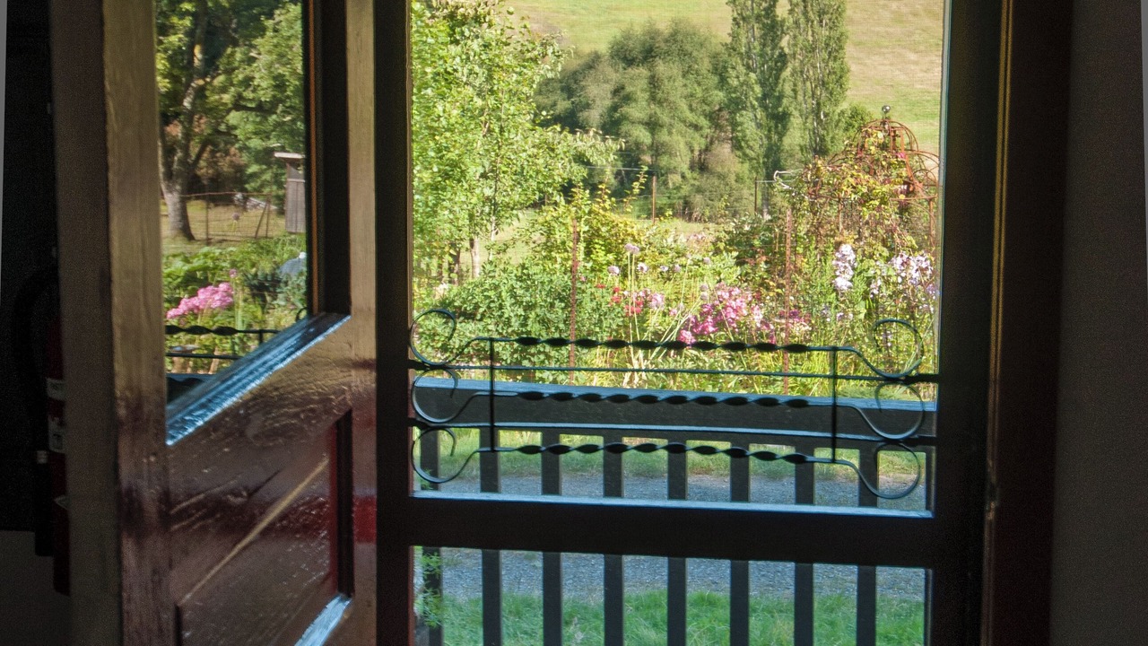 Photo of Others in Olga