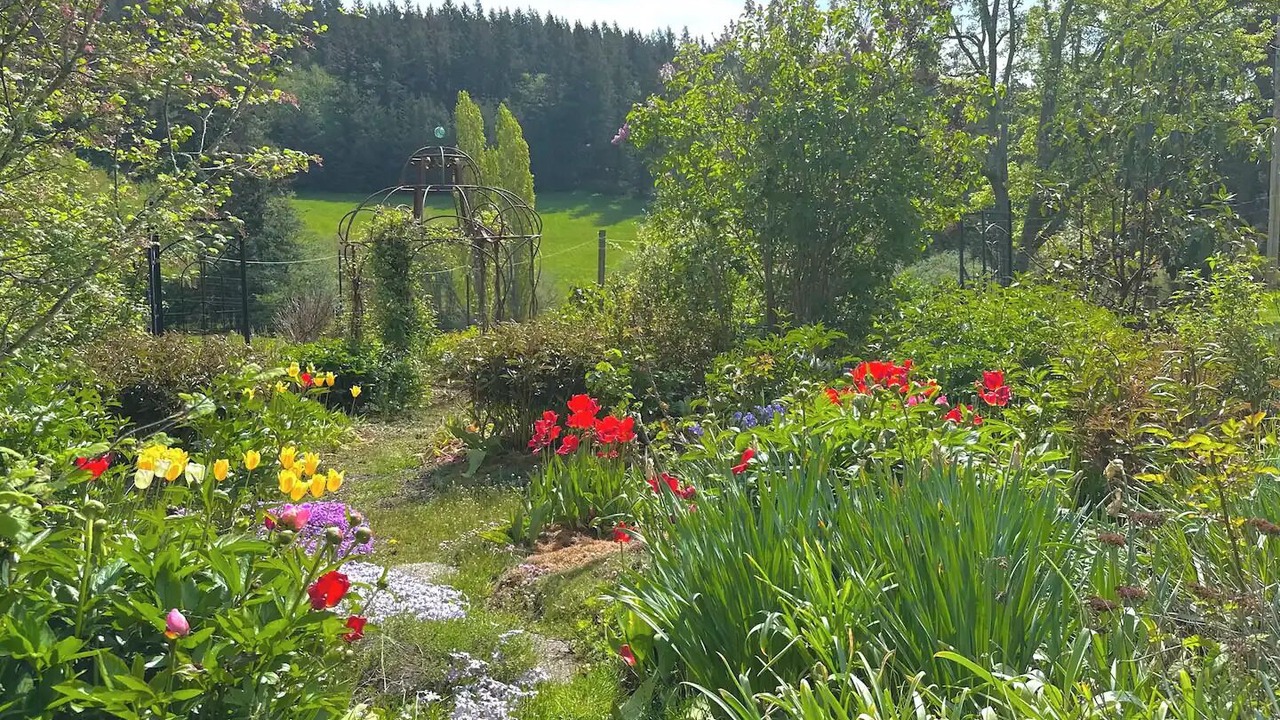 Photo of Outdoor in Olga