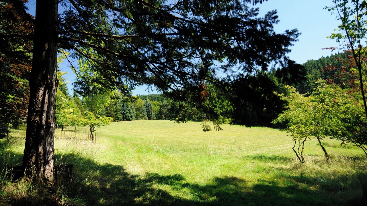 Photo of Others in Olga