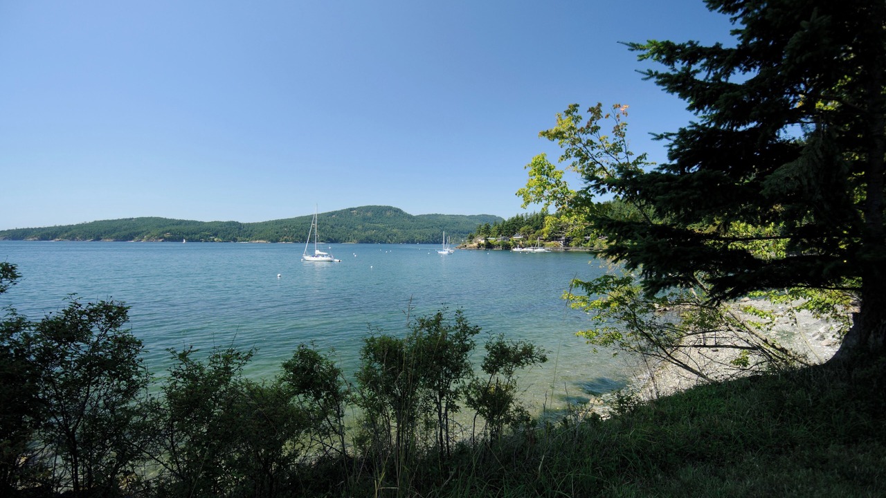 Photo of Others in Olga