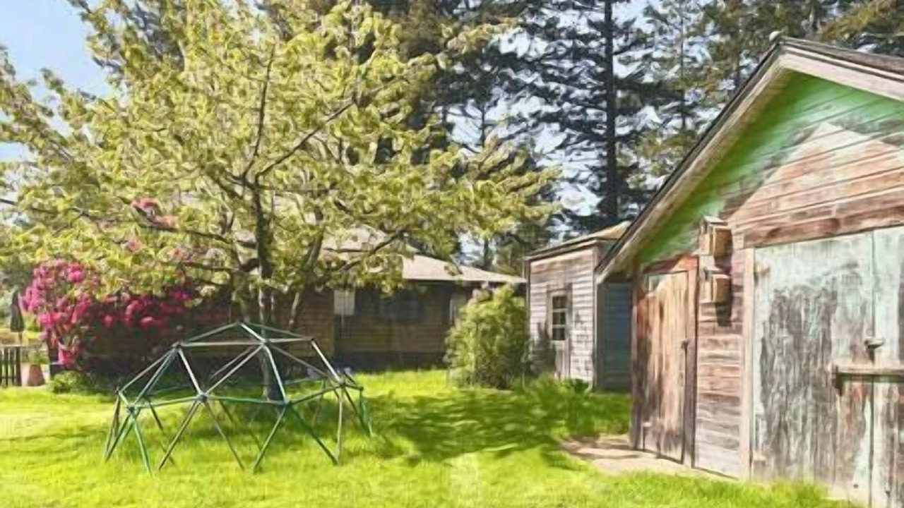 Photo of Others in Olga