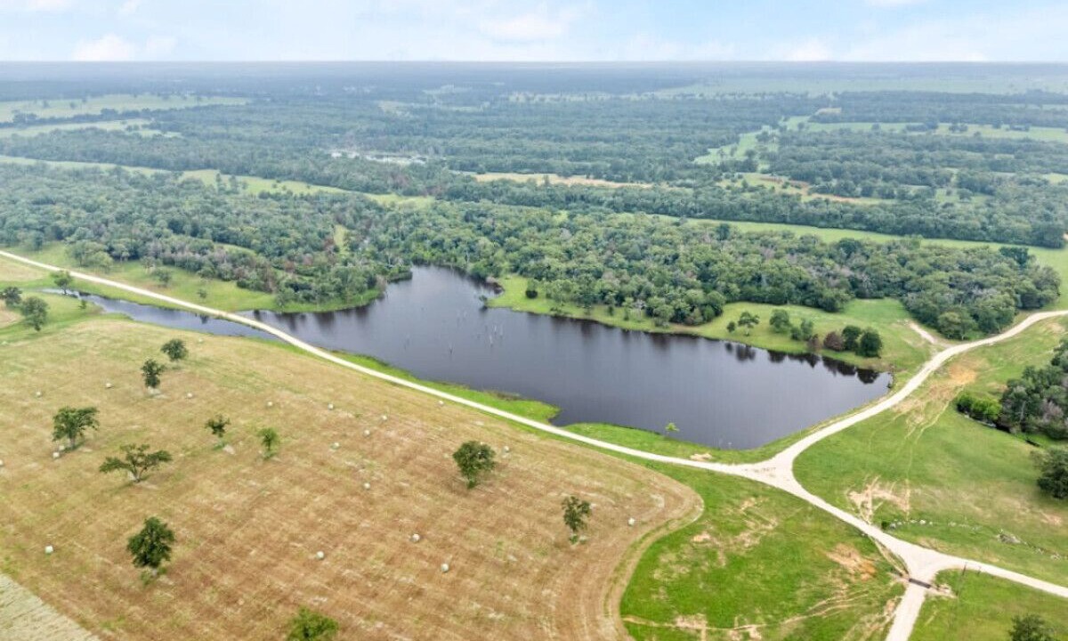 Photo of Outdoor in Milam County