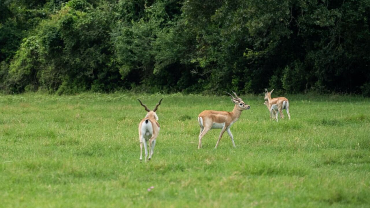 Photo of Others in Milam County