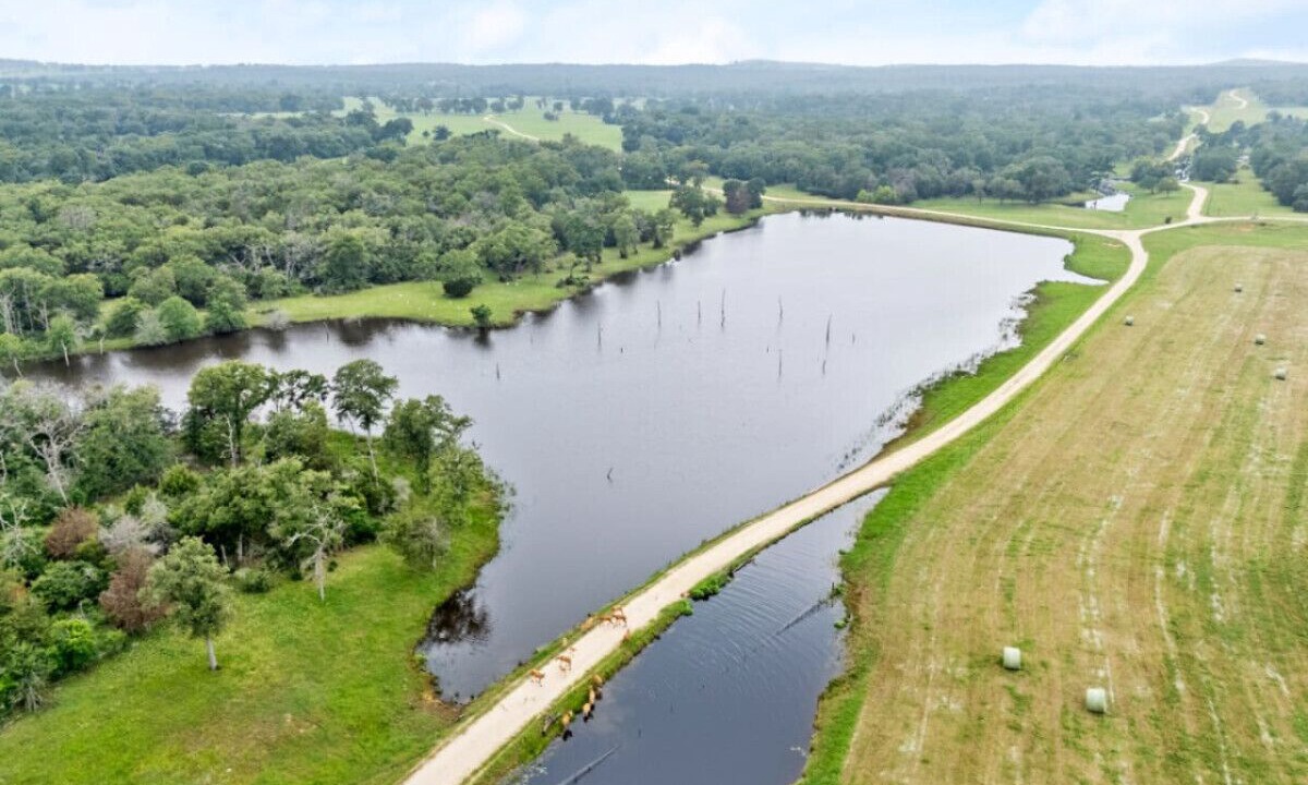 Photo of Outdoor in Milam County
