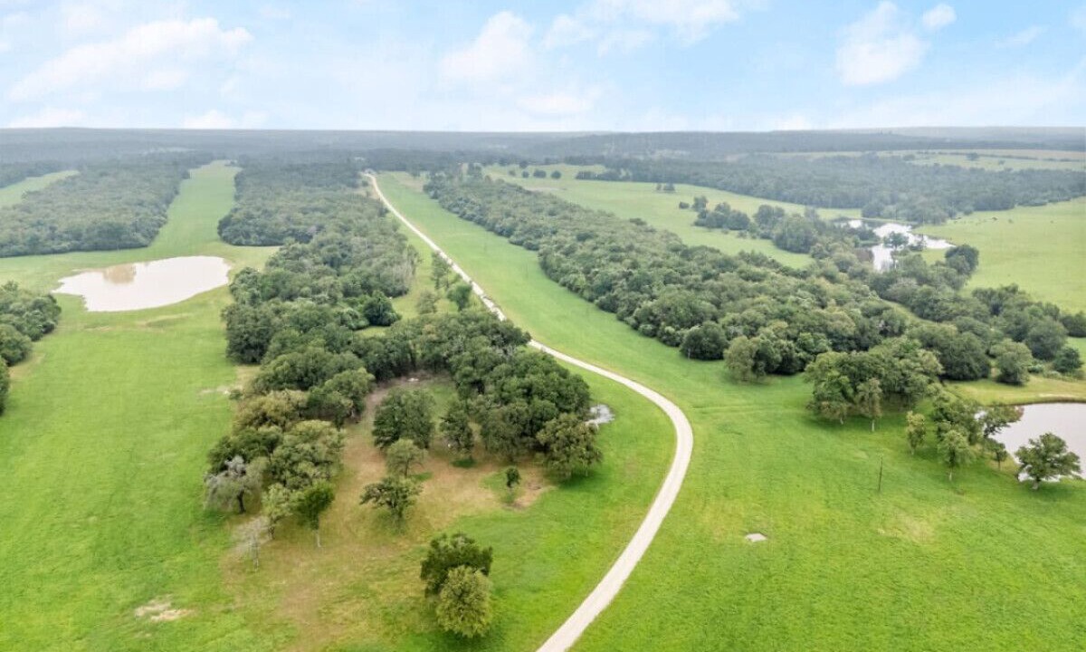 Photo of Outdoor in Milam County