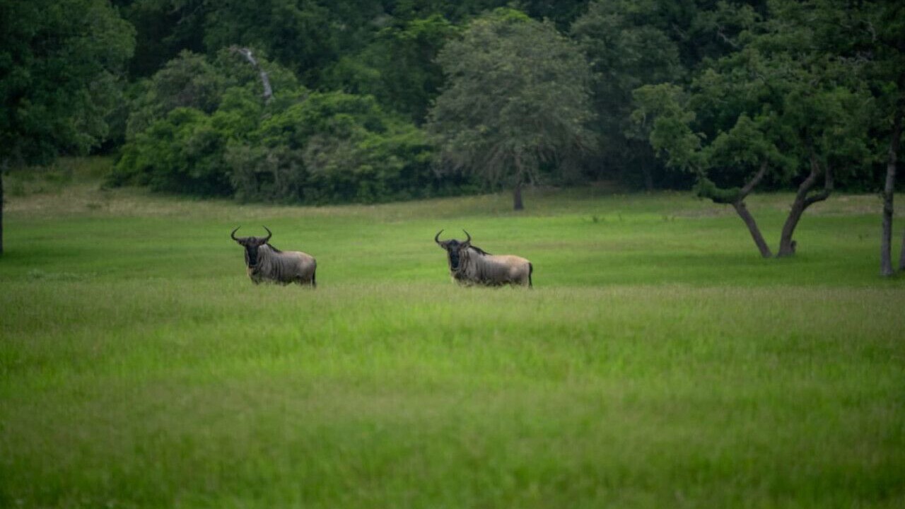 Photo of Others in Milam County