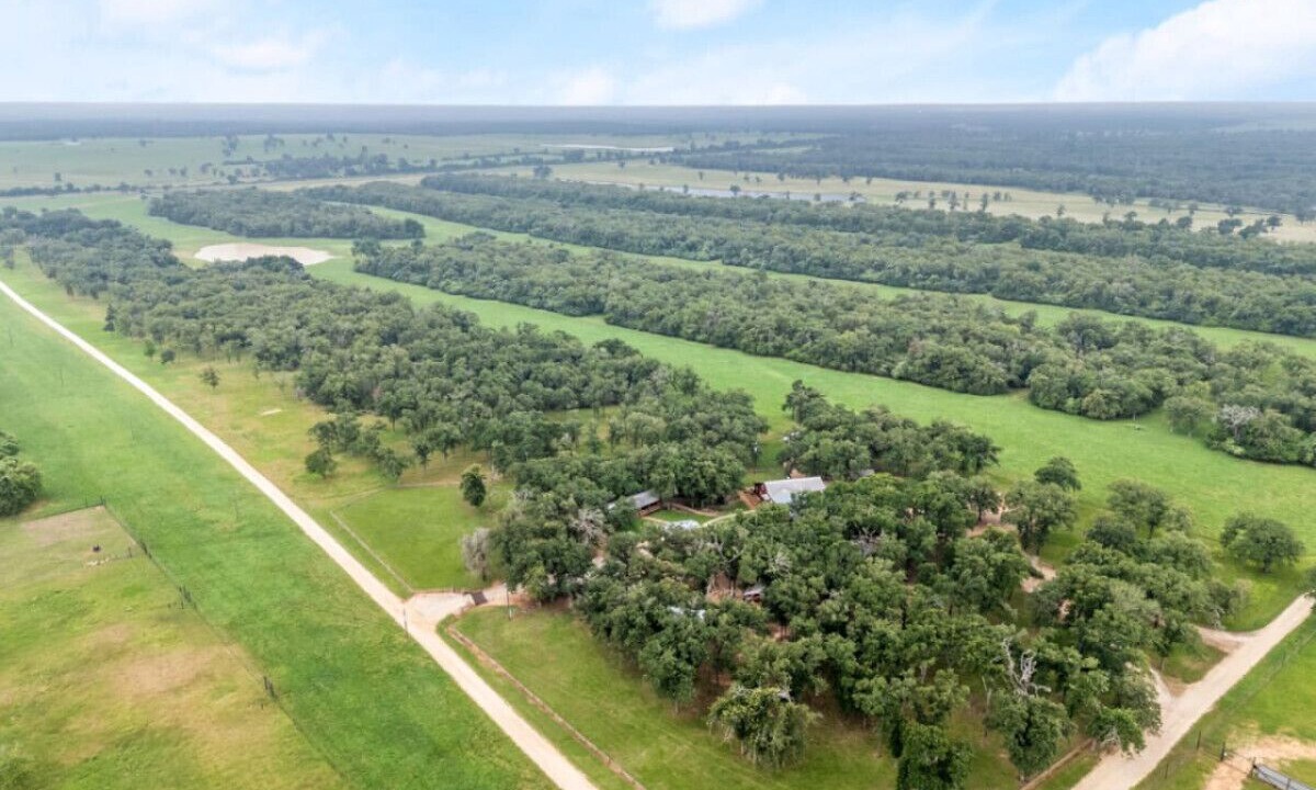 Photo of Outdoor in Milam County