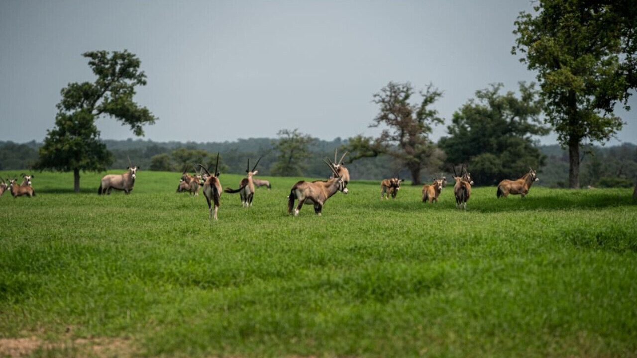 Photo of Others in Milam County