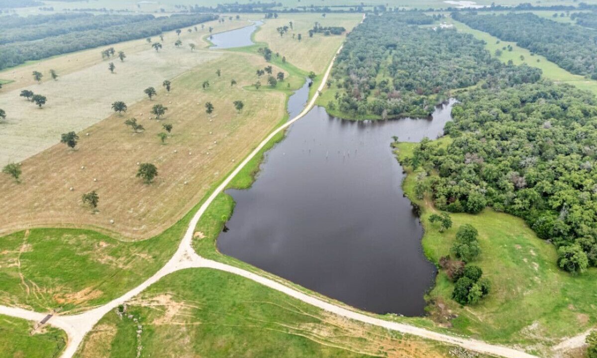Photo of Outdoor in Milam County