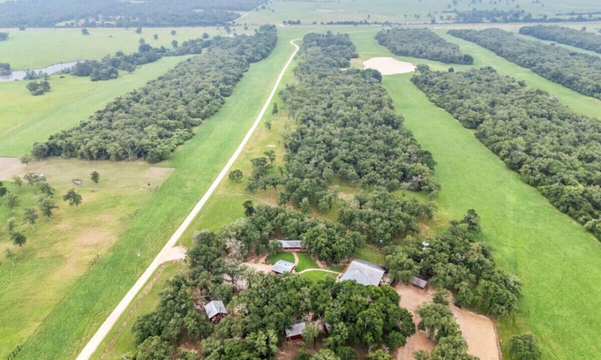 Photo of Outdoor in Milam County