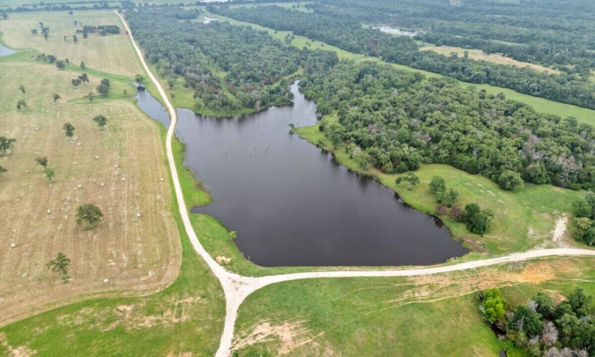 Photo of Outdoor in Milam County