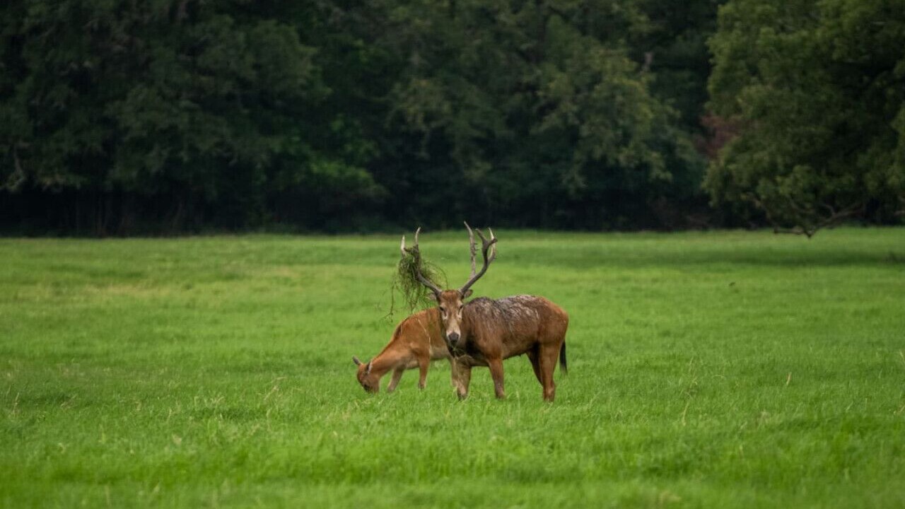 Photo of Others in Milam County