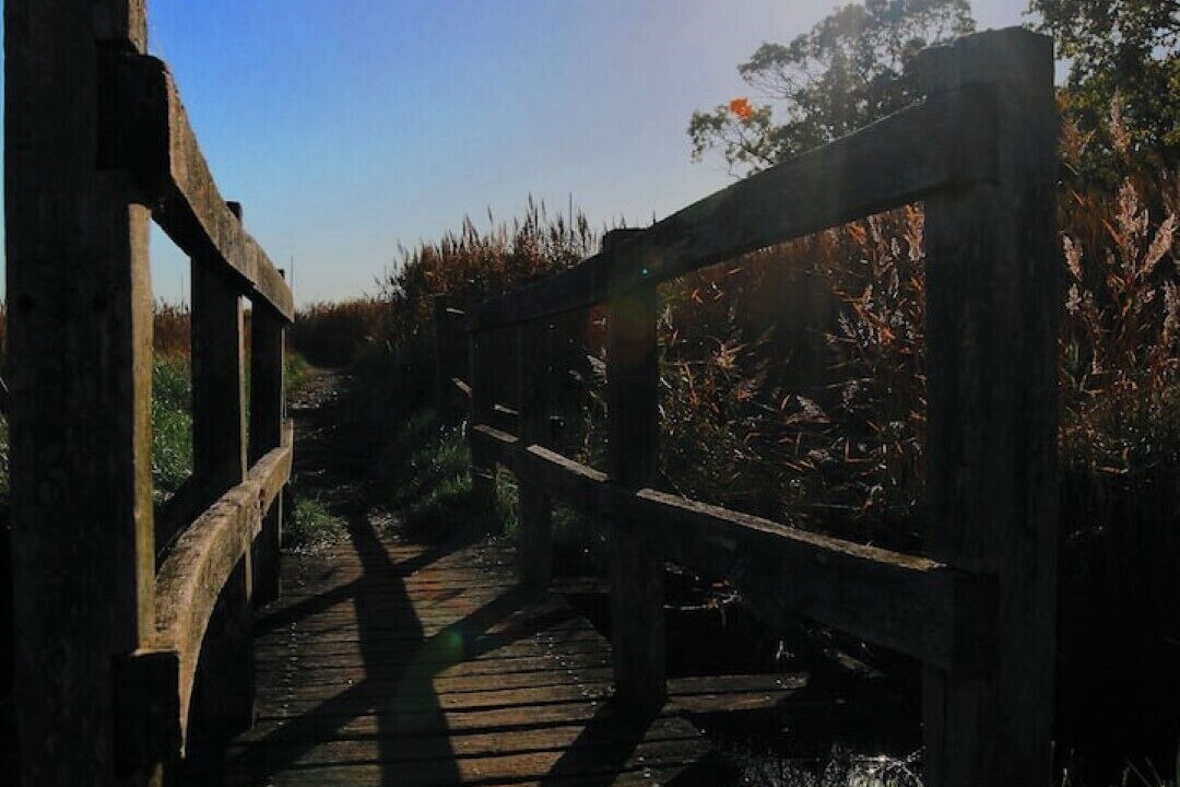 Photo of Others in Hamble-le-Rice