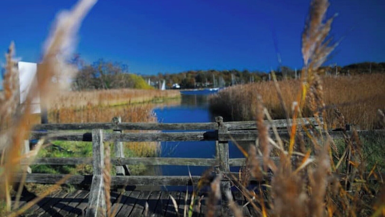Photo of Others in Hamble-le-Rice
