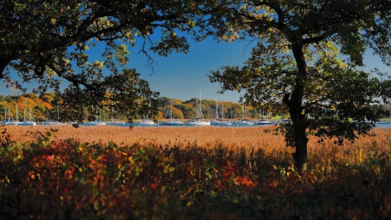 Photo of Others in Hamble-le-Rice