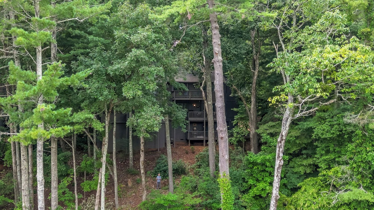 Photo of Outdoor in Big Canoe