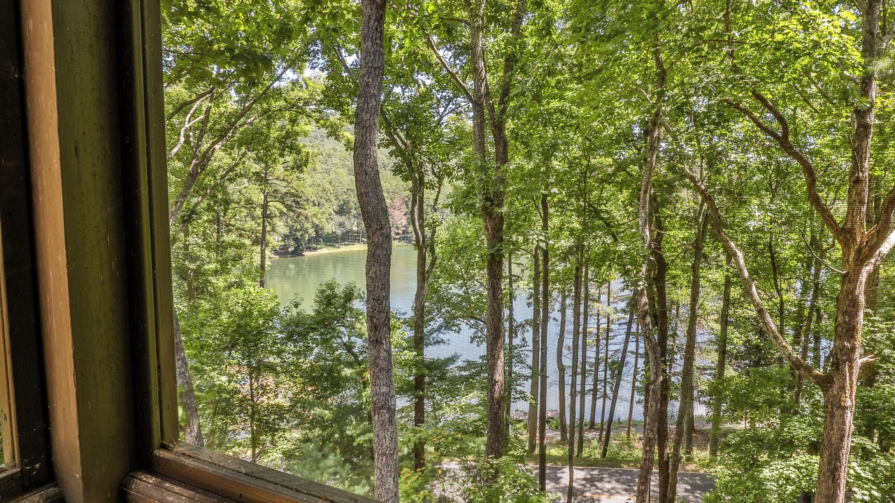 Photo of Outdoor in Big Canoe