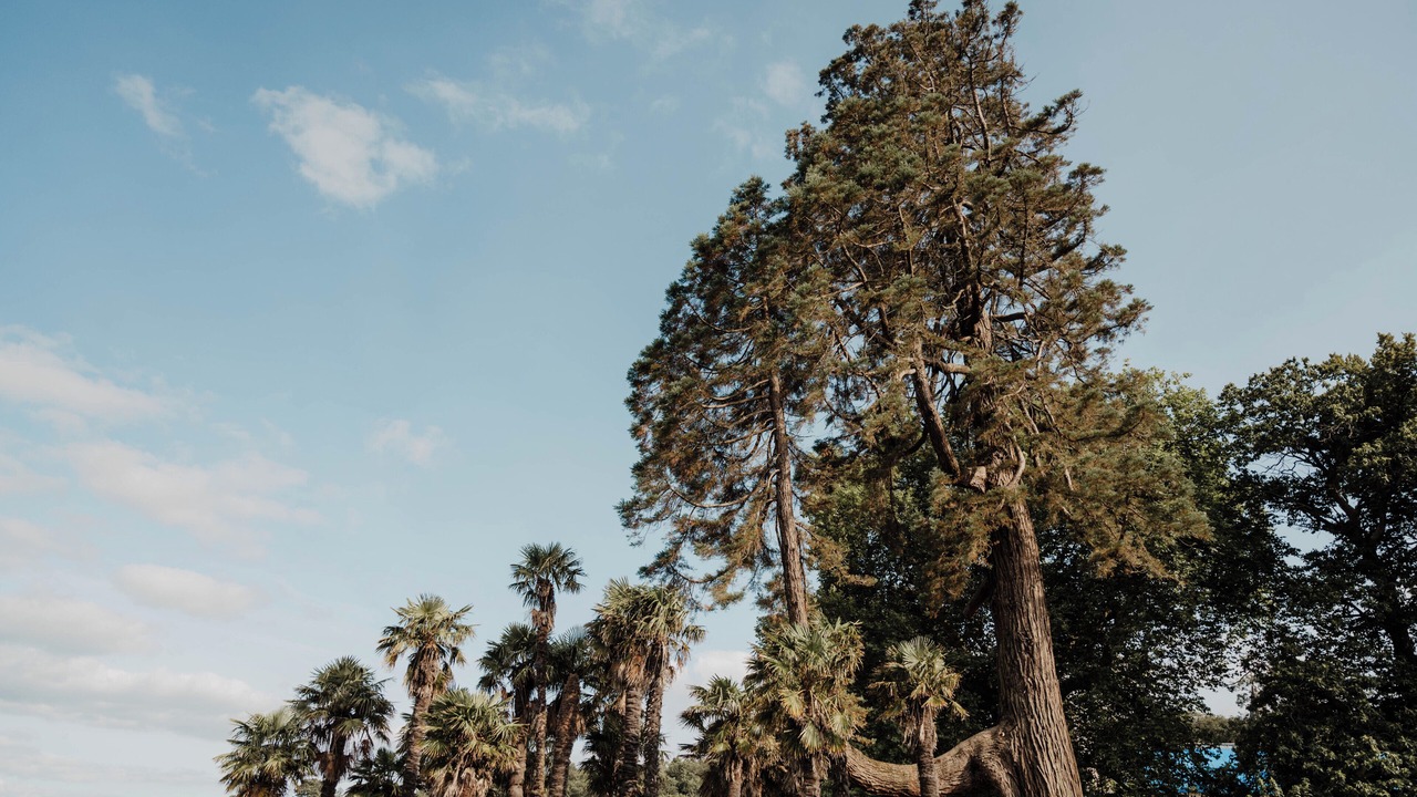 Photo of Others in Crach