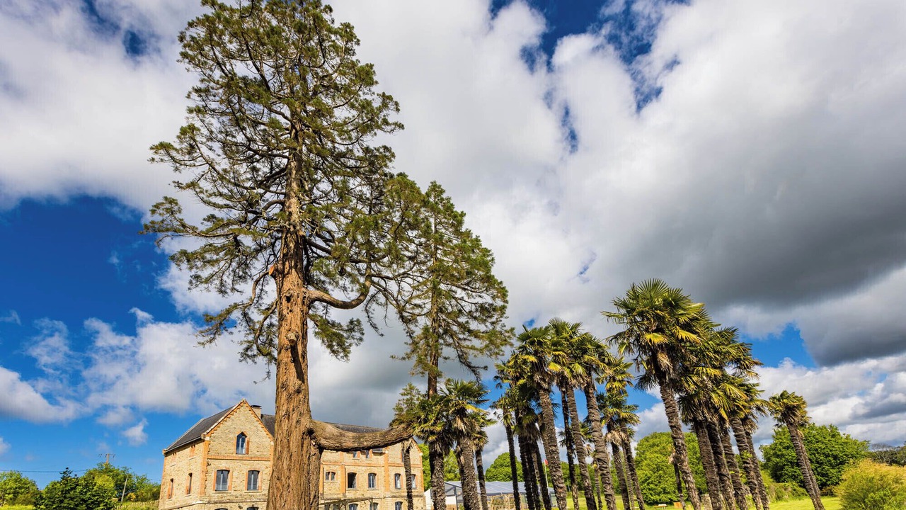 Photo of Outdoor in Crach