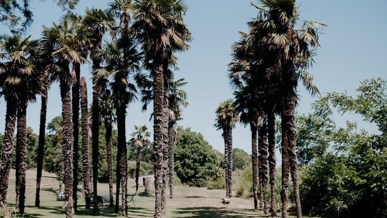 Photo of Others in Crach