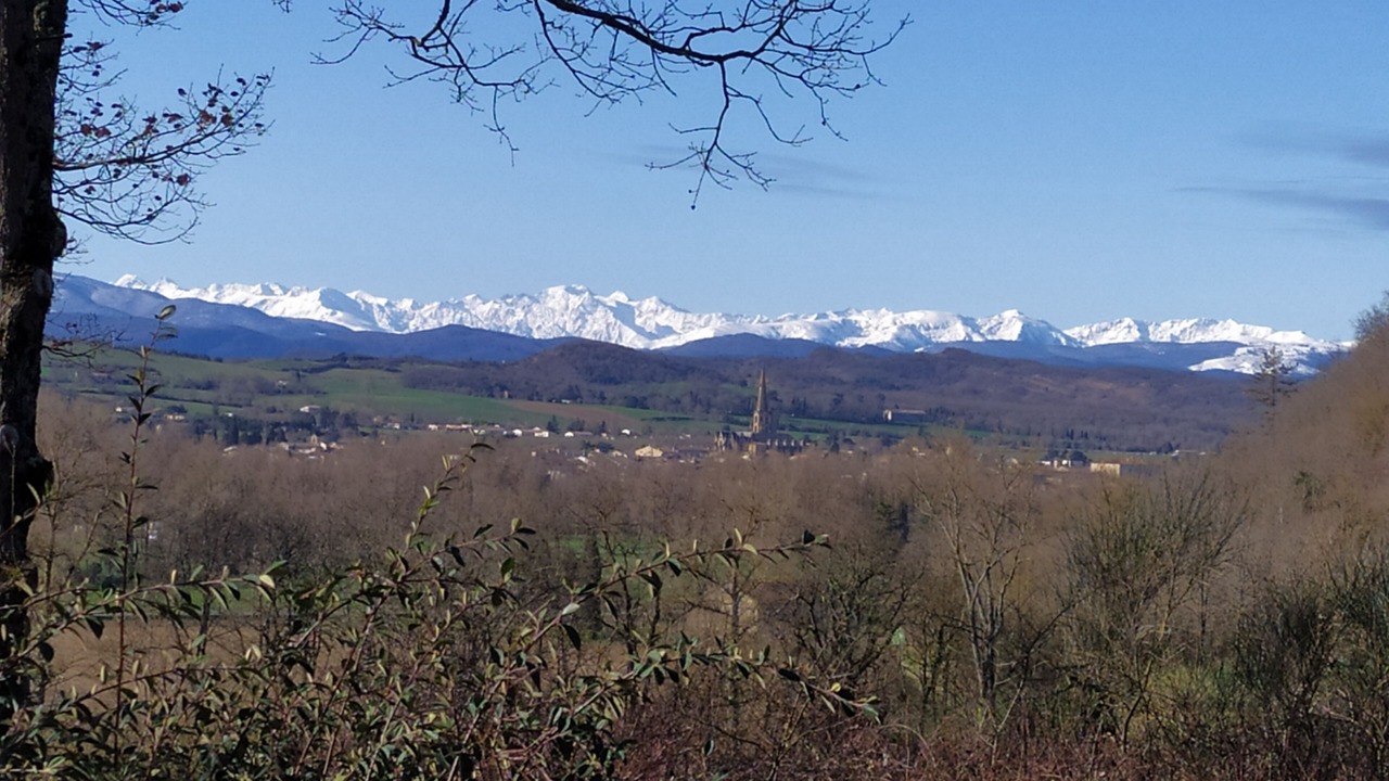 Photo of Others in Mirepoix