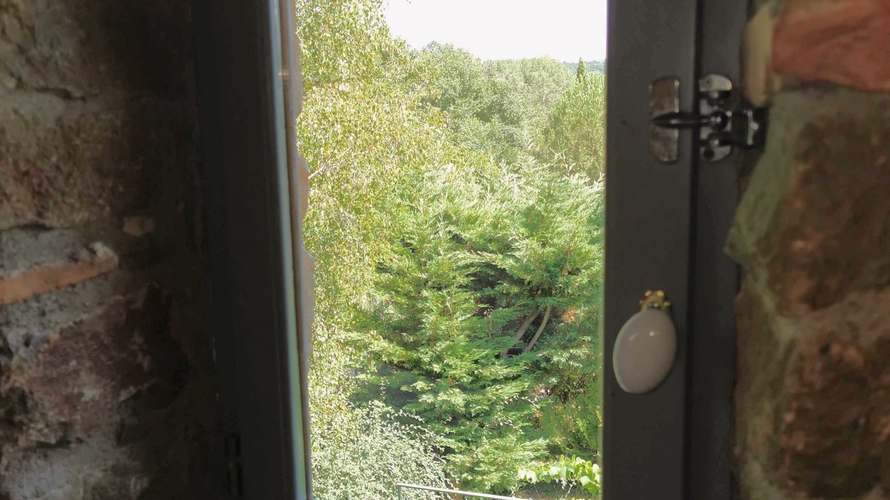 Photo of Others in Mirepoix