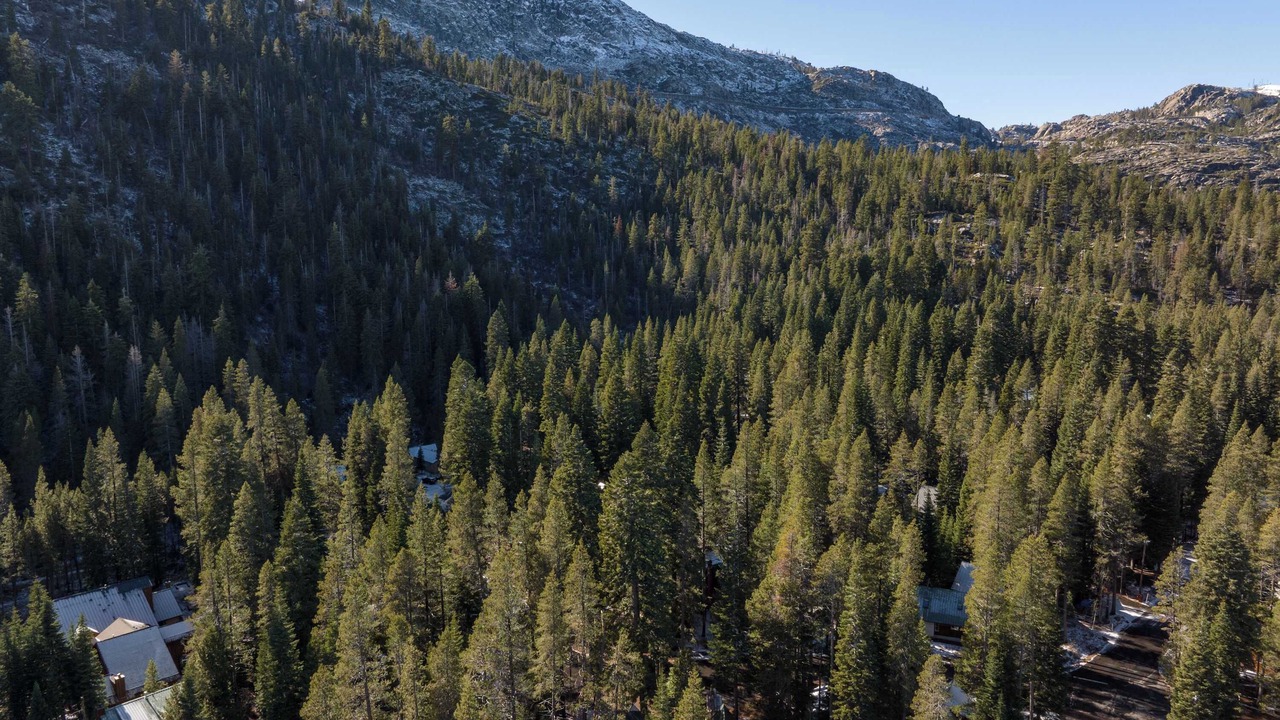 Photo of Outdoor in Donner Lake Woods