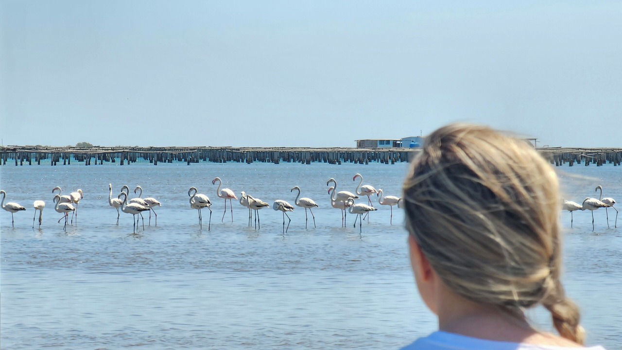 Photo of Others in Deltebre